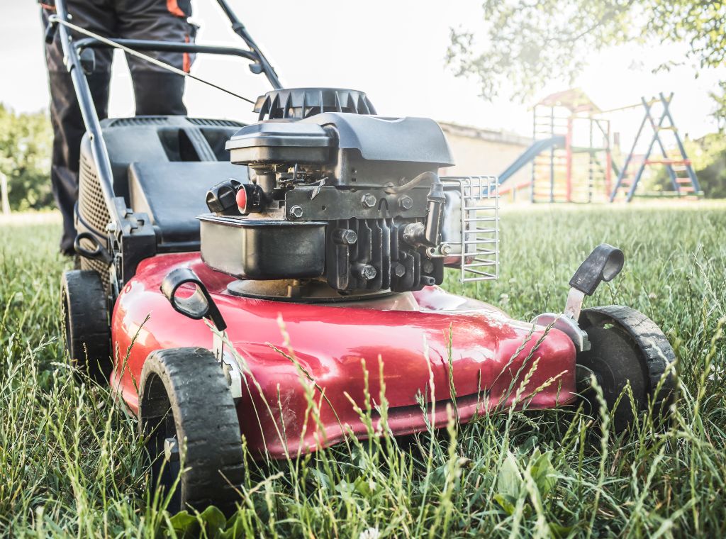 Professioneller Baumschnitt