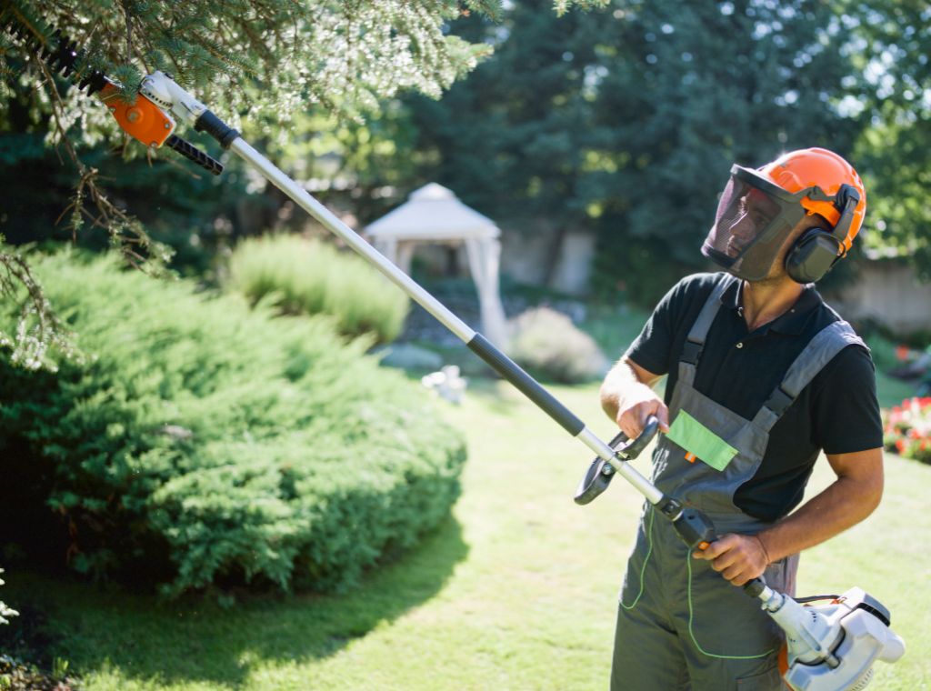Garten-Beratung und Planungsservice