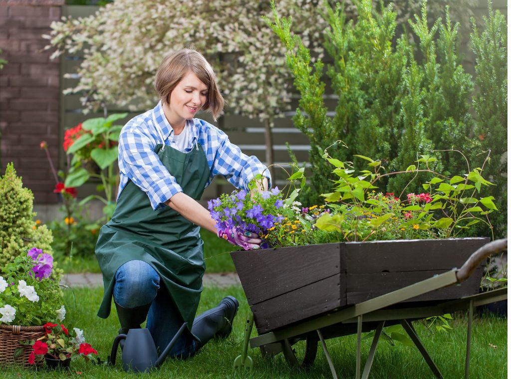 Professionelle Rasenpflege