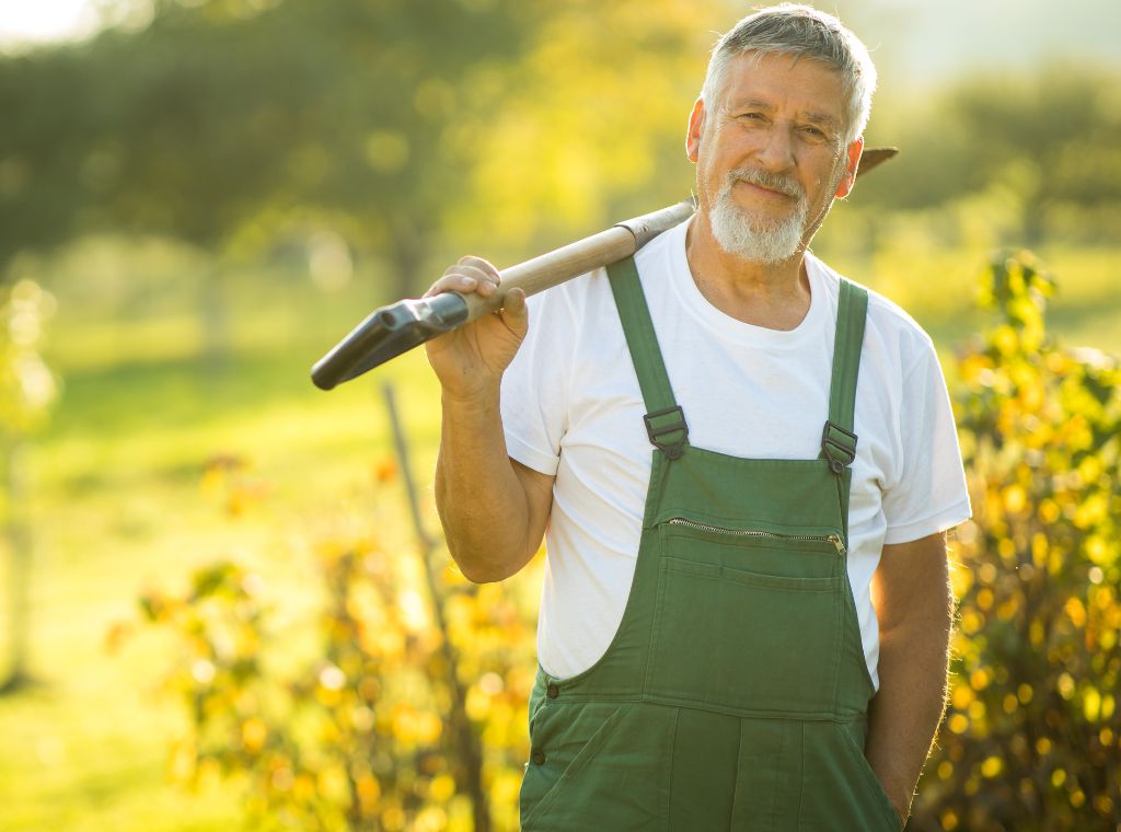 Professionelle Gartenpflege - Gartenservice und Gärtner in der Nähe
