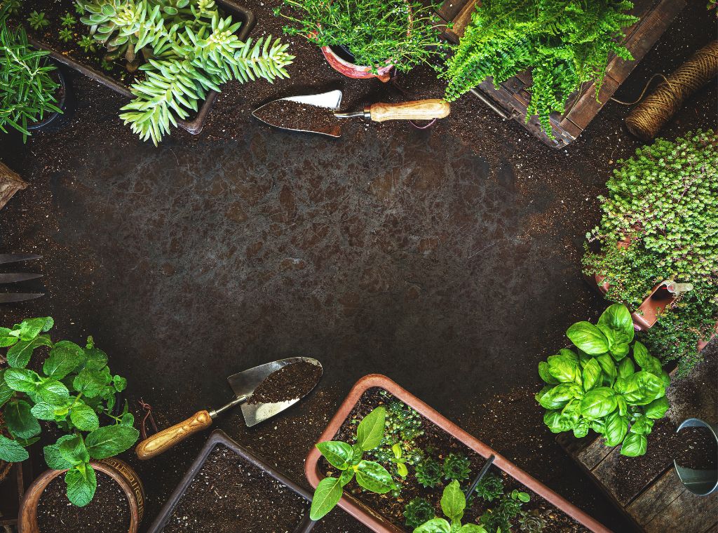 Professionelle Unkrautentfernung